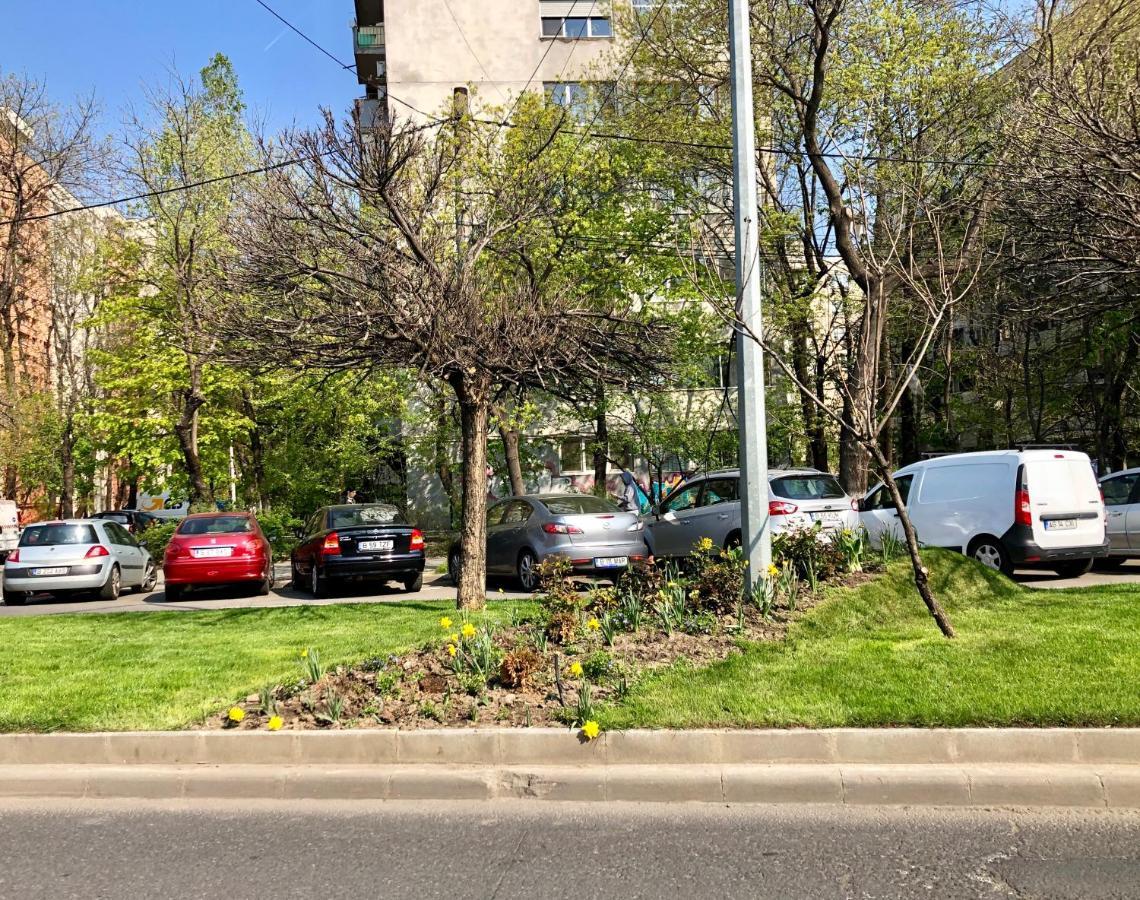 Cozy And Clean Apartment, Near National Arena Букурещ Екстериор снимка